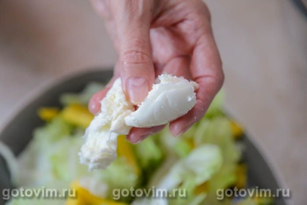 Салат из манго с сельдереем, сыром моцарелла и чили Салат из манго с сельдереем, сыром моцарелла и чили