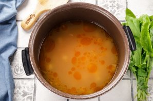 Щи из щавеля в мультиварке Щи из щавеля в мультиварке