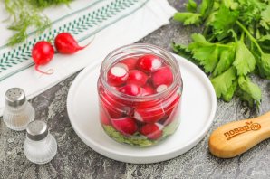 Маринованная редиска с ботвой на зиму Маринованная редиска с ботвой на зиму