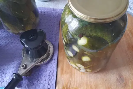 Маринованные огурцы с мятой Маринованные огурцы с мятой