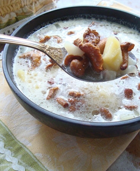 Суп из лисичек Суп из лисичек