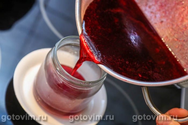 Сироп из красной смородины на зиму Сироп из красной смородины на зиму