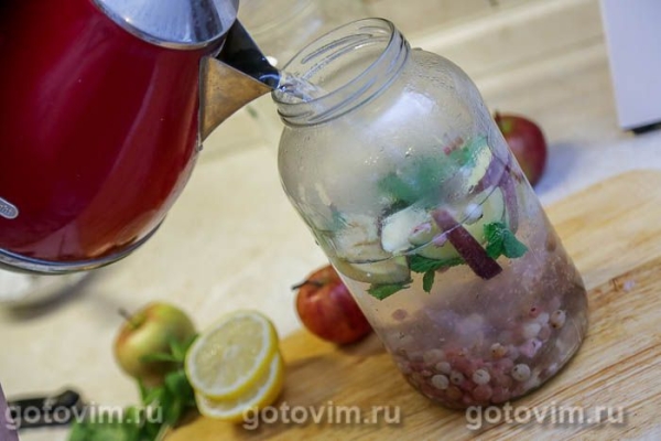 Компот мохито с яблоками, мятой и розовой смородиной