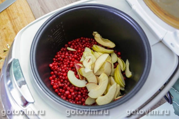 Компот из красной смородины с яблоками в мультиварке Компот из красной смородины с яблоками в мультиварке