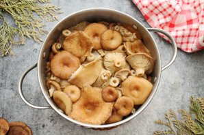 Засолка волнушек горячим способом Засолка волнушек горячим способом