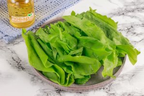 Заморозка щавеля на зиму Заморозка щавеля на зиму