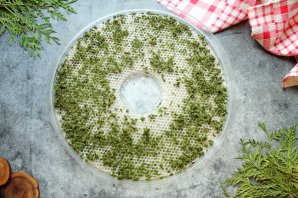 Сушеные чесночные стрелки на зиму Сушеные чесночные стрелки на зиму