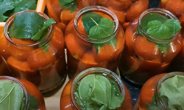 Сочные помидоры на зиму без уксуса и стерилизации: простой рецепт для хранения в квартире Сочные помидоры на зиму без уксуса и стерилизации: простой рецепт для хранения в квартире