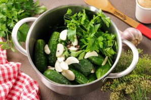 Малосольные огурцы быстрого приготовления в кастрюле Малосольные огурцы быстрого приготовления в кастрюле