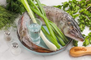 Тала из щуки Тала из щуки