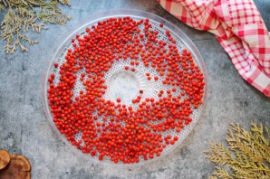 Сушеная рябина Сушеная рябина