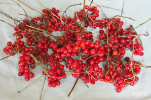 Калина на зиму без варки