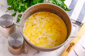 Грузинский суп с мацони Грузинский суп с мацони