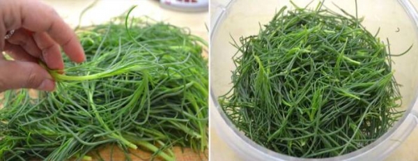 
Омлет на сковороде с сыром &mdash; 5 рецептов с овощами	