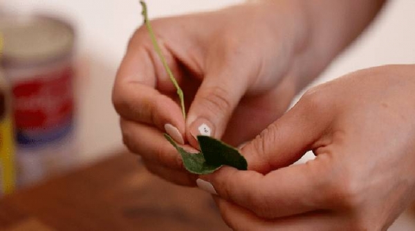 Том Ям — простой рецепт в домашних условиях с креветками
Том Ям — простой рецепт в домашних условиях с креветками