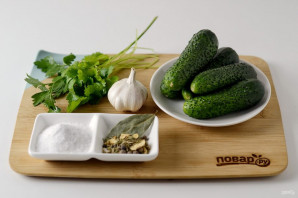 Соление огурцов Соление огурцов