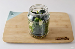 Соление огурцов Соление огурцов