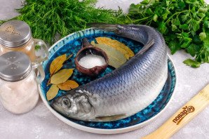 Засолка сельди в домашних условиях Засолка сельди в домашних условиях