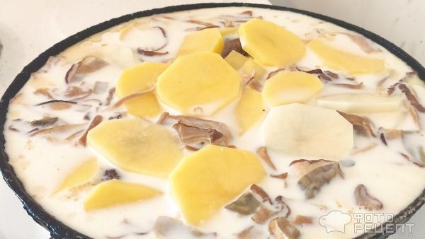 Рецепт: Говядина тушеная - с картофелем, белыми грибами и молоком