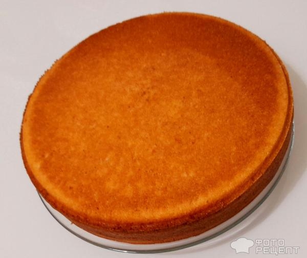 Рецепт: Торт "Кошечка" на день рождения девочке - Бисквитный торт "Кошечка" с масляным кремом и черешней. И кексы "Кошачьи лапки". Рецепт: Торт "Кошечка" на день рождения девочке - Бисквитный торт "Кошечка" с масляным кремом и черешней. И кексы "Кошачьи лапки".