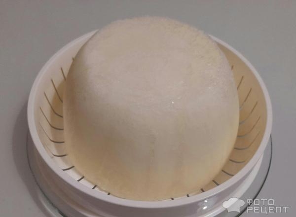 Рецепт: Торт "Кошечка" на день рождения девочке - Бисквитный торт "Кошечка" с масляным кремом и черешней. И кексы "Кошачьи лапки". Рецепт: Торт "Кошечка" на день рождения девочке - Бисквитный торт "Кошечка" с масляным кремом и черешней. И кексы "Кошачьи лапки".