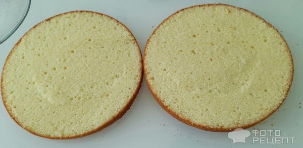 Рецепт: Торт "Кошечка" на день рождения девочке - Бисквитный торт "Кошечка" с масляным кремом и черешней. И кексы "Кошачьи лапки". Рецепт: Торт "Кошечка" на день рождения девочке - Бисквитный торт "Кошечка" с масляным кремом и черешней. И кексы "Кошачьи лапки".