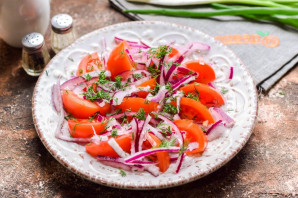 Закуска из помидоров и лука к шашлыку Закуска из помидоров и лука к шашлыку