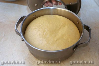 Тесто сдобное холодной расстойки Тесто сдобное холодной расстойки