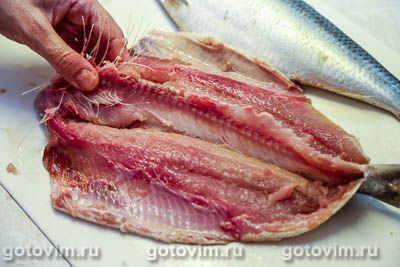 Рулет из сельди в горчичном маринаде, запеченный в духовке Рулет из сельди в горчичном маринаде, запеченный в духовке