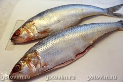 Рулет из сельди в горчичном маринаде, запеченный в духовке Рулет из сельди в горчичном маринаде, запеченный в духовке