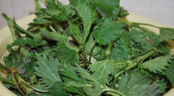 Пирог с крапивой и брынзой, пошаговый рецепт с фото Пирог с крапивой и брынзой, пошаговый рецепт с фото