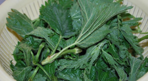 Чуду с крапивой и творогом, пошаговый рецепт с фото Чуду с крапивой и творогом, пошаговый рецепт с фото