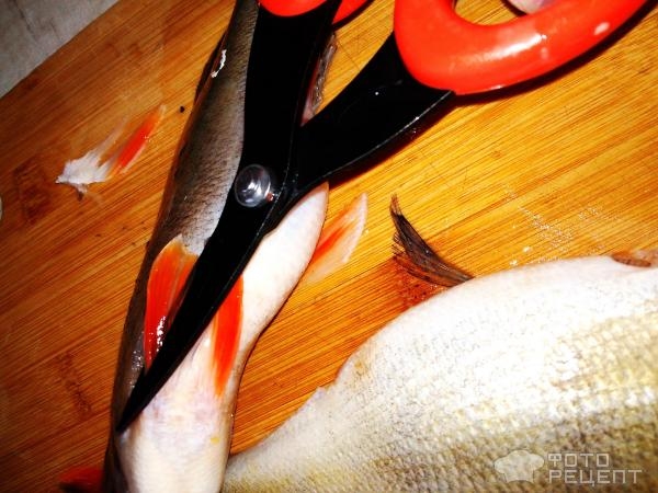 Рецепт: Окунь речной запеченый - "Ленивый" окунь с рукколой и луком, запеченный в пакете Рецепт: Окунь речной запеченый - "Ленивый" окунь с рукколой и луком, запеченный в пакете