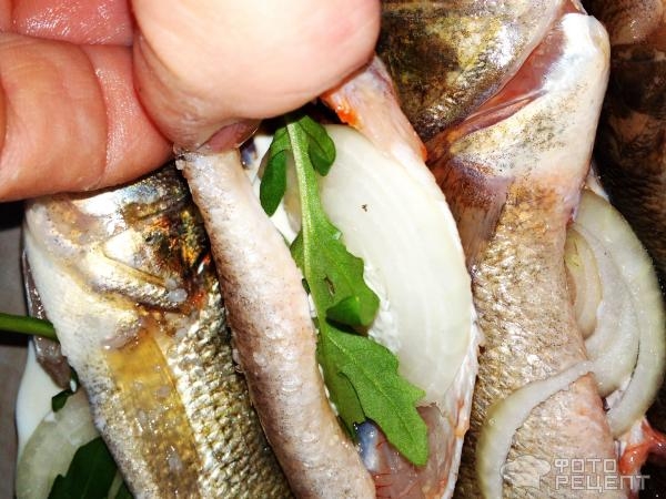 Рецепт: Окунь речной запеченый - "Ленивый" окунь с рукколой и луком, запеченный в пакете Рецепт: Окунь речной запеченый - "Ленивый" окунь с рукколой и луком, запеченный в пакете