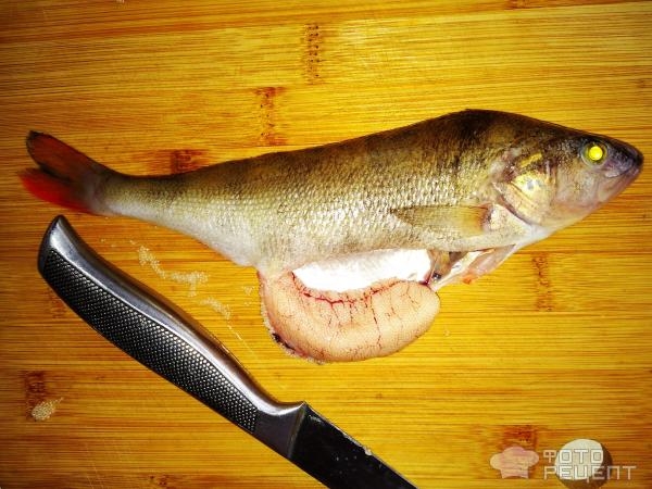 Рецепт: Окунь речной запеченый - "Ленивый" окунь с рукколой и луком, запеченный в пакете Рецепт: Окунь речной запеченый - "Ленивый" окунь с рукколой и луком, запеченный в пакете