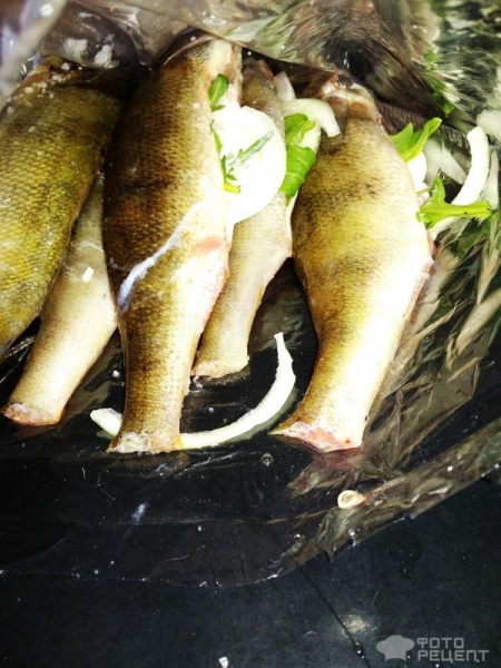 Рецепт: Окунь речной запеченый - "Ленивый" окунь с рукколой и луком, запеченный в пакете Рецепт: Окунь речной запеченый - "Ленивый" окунь с рукколой и луком, запеченный в пакете