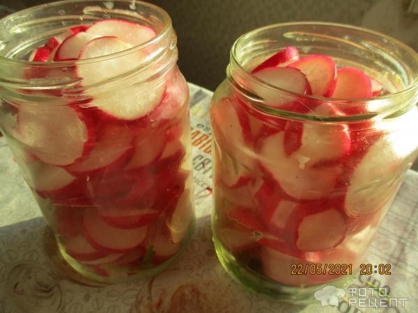 Рецепт: Редис маринованный - с чесноком Рецепт: Редис маринованный - с чесноком