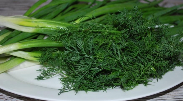 Окрошка на квасе и сметане, пошаговый рецепт с фото