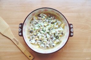 Котопита Котопита