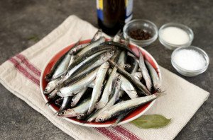 Маринованная хамса Маринованная хамса