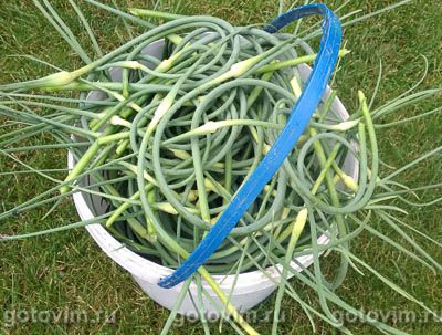 Жареные чесночные стрелки Жареные чесночные стрелки