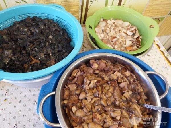 Рецепт: Лесные грибы отварные в заморозку - на все случаи жизни