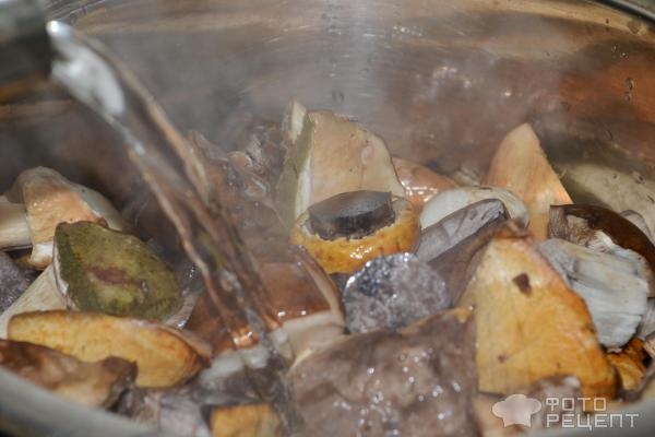 Рецепт: Подберезовики маринованные классический засол - Самый вкусный рецепт подберезовиков, для длительного хранения Рецепт: Подберезовики маринованные классический засол - Самый вкусный рецепт подберезовиков, для длительного хранения