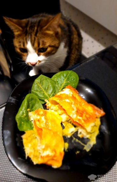 Рецепт: Рыба запеченная в лаваше - Шпинат, филе хека , лаваш!