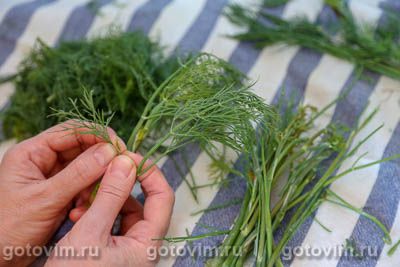 Замороженный укроп в формочках для льда Замороженный укроп в формочках для льда