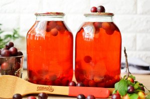 Компот из алычи на зиму Компот из алычи на зиму