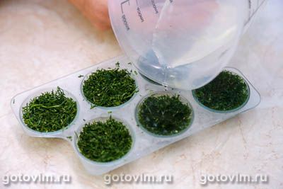 Замороженный укроп в формочках для льда Замороженный укроп в формочках для льда