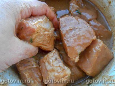 Шашлык из говядины в маринаде в смеси апельсина, лайма и грейпфрута Шашлык из говядины в маринаде в смеси апельсина, лайма и грейпфрута