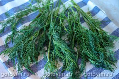 Замороженный укроп в формочках для льда Замороженный укроп в формочках для льда