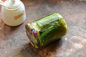 Огурцы с базиликом на зиму Огурцы с базиликом на зиму